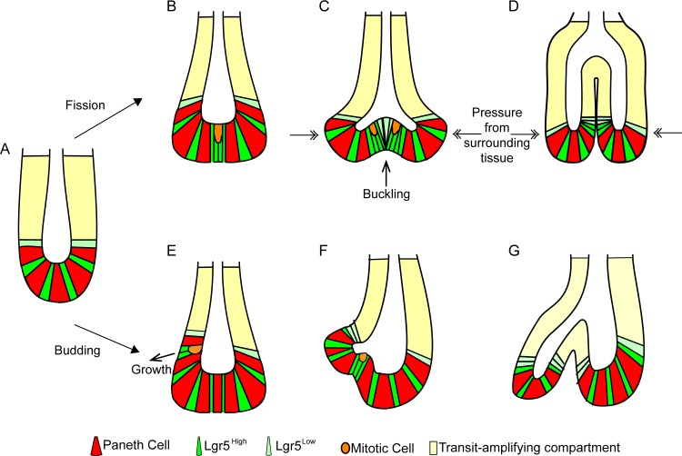 Fig 10