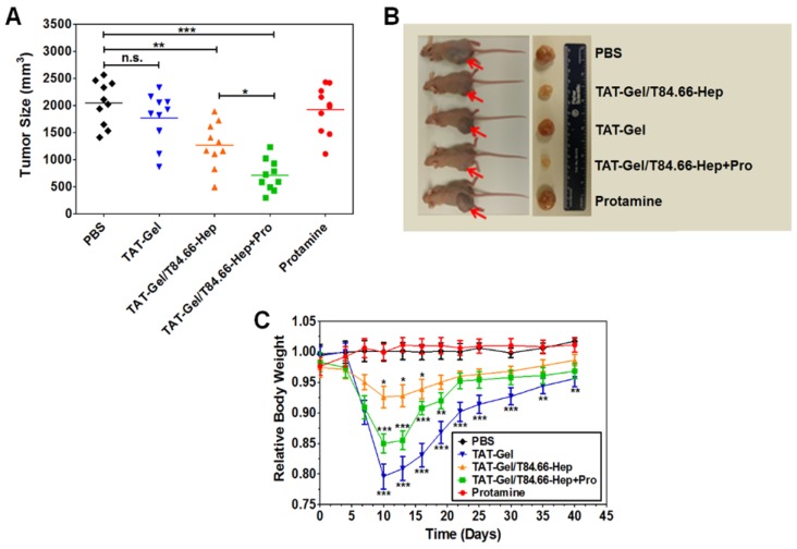 Fig 10