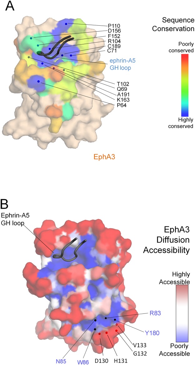 Fig 5