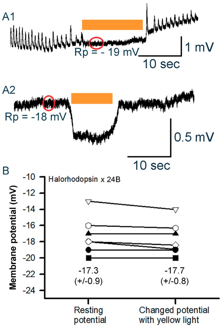 Figure 9