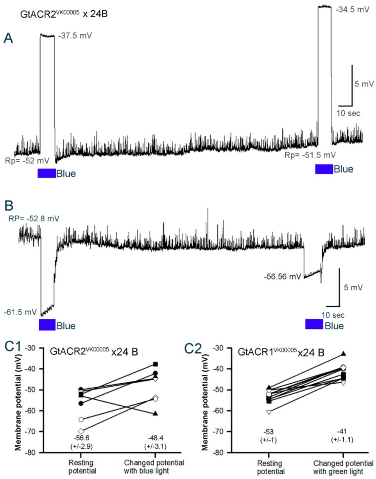 Figure 5