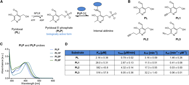 Figure 1