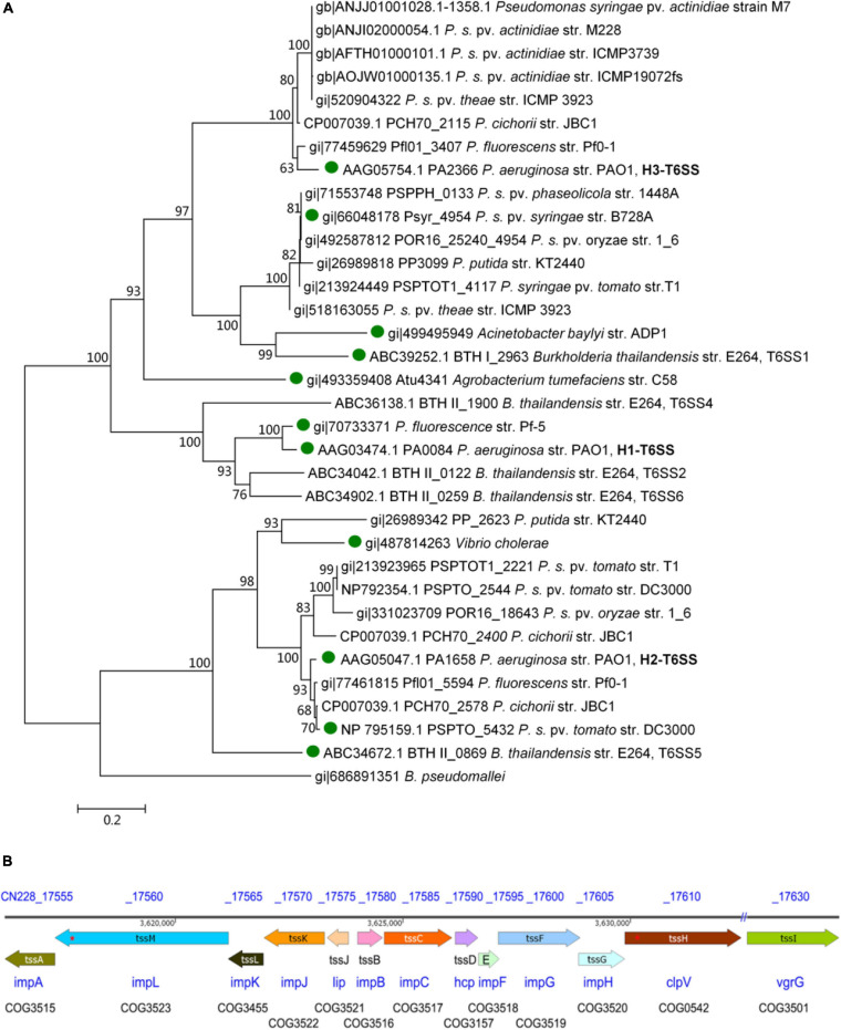 FIGURE 1