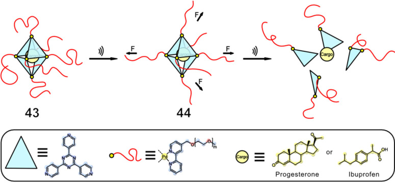 Figure 20