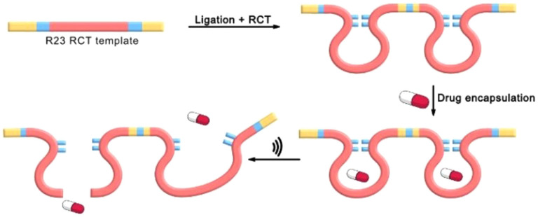 Figure 11