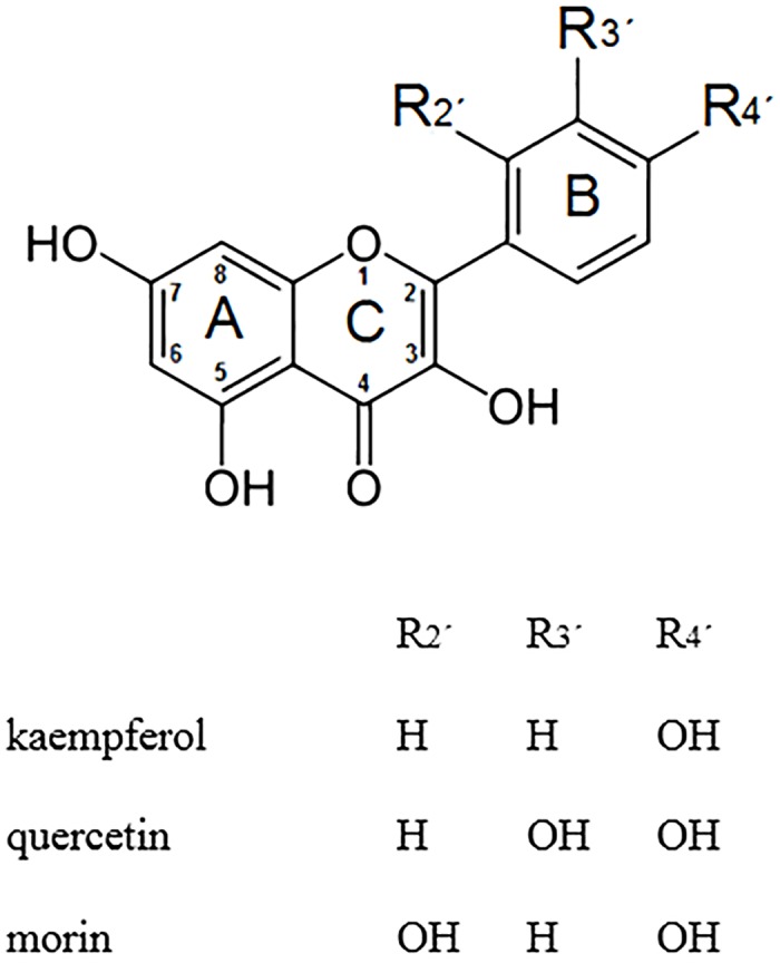 Fig 1