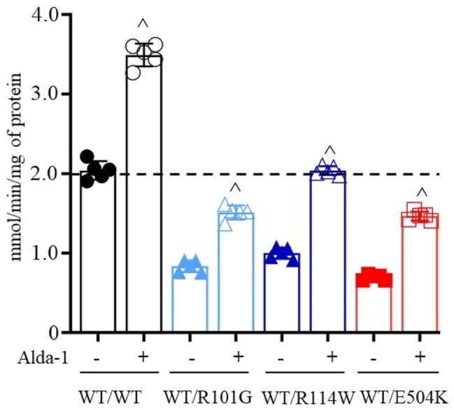 Fig. 7