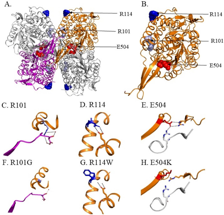 Fig. 4