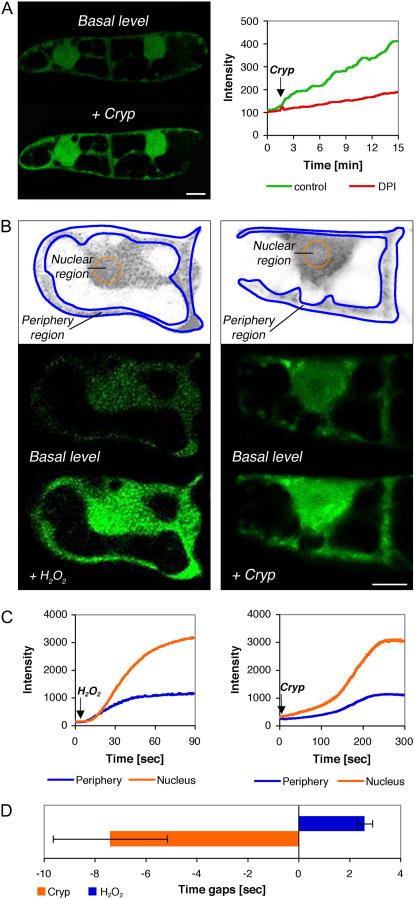 Figure 2.