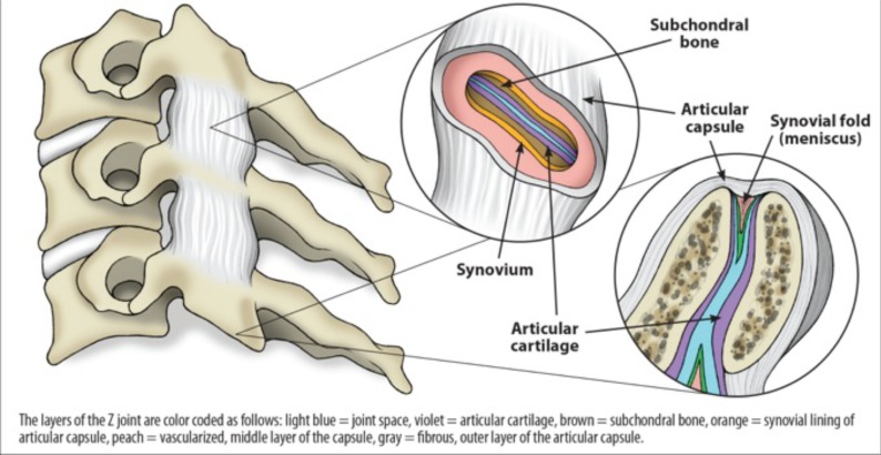 Fig. (2)