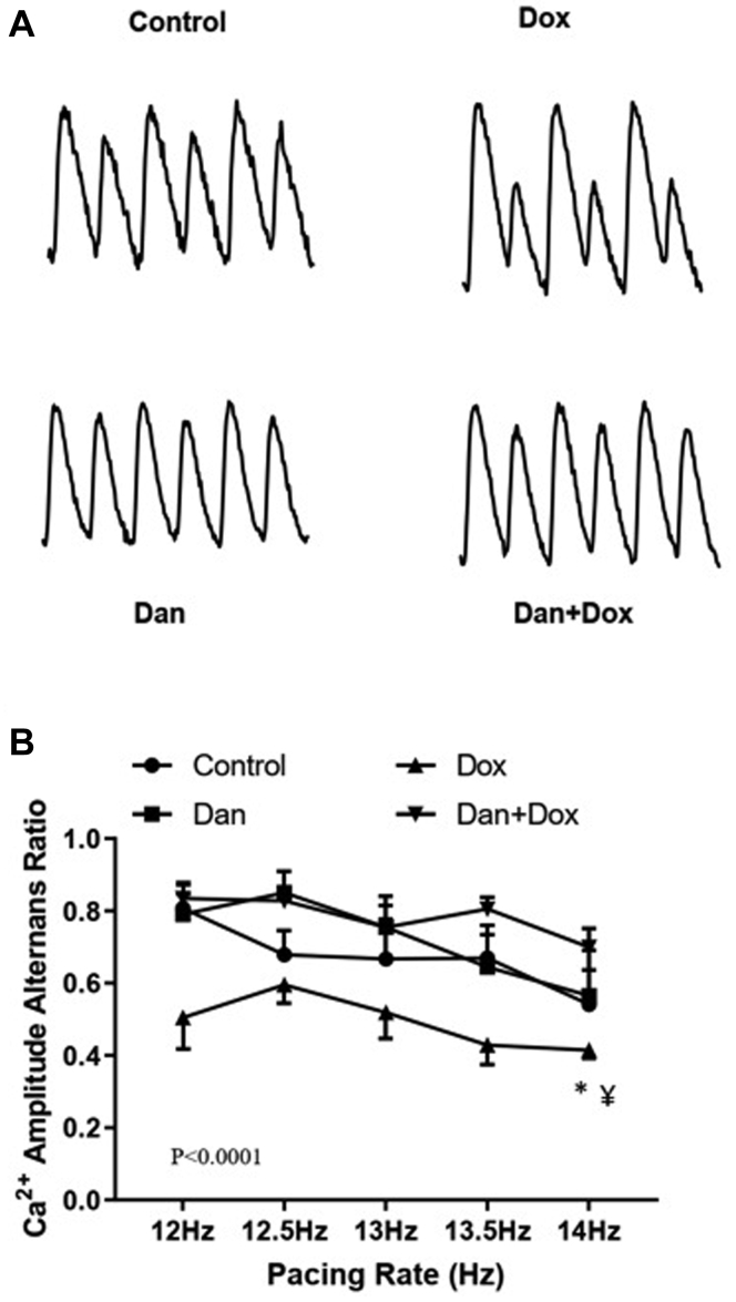 Figure 5