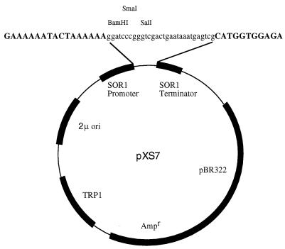 FIG. 1