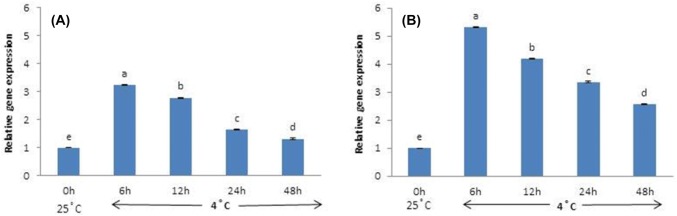 Fig. 2