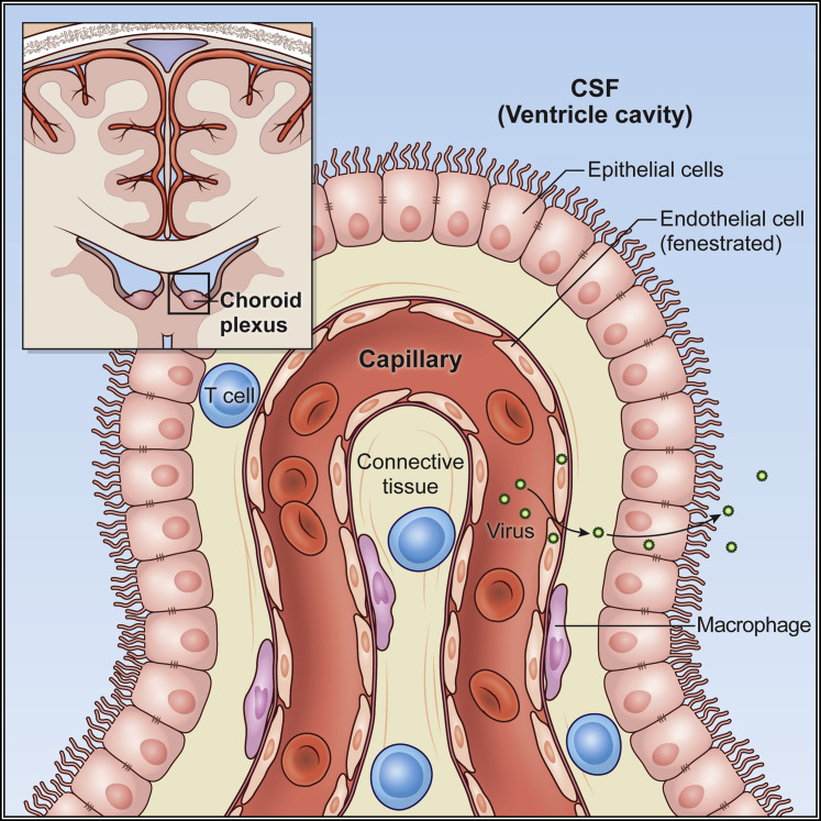 Figure 4