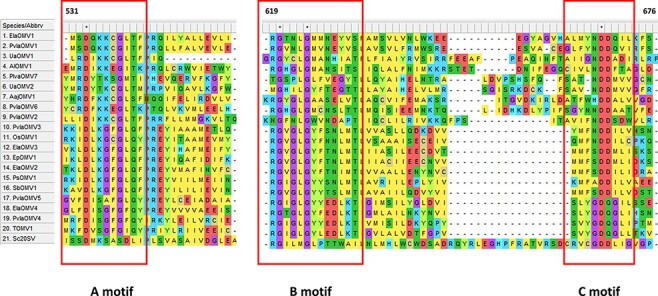 Figure 5.