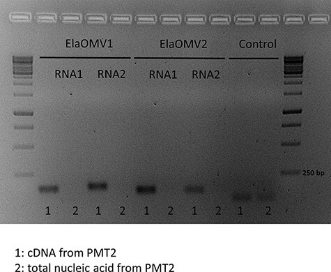 Figure 1.