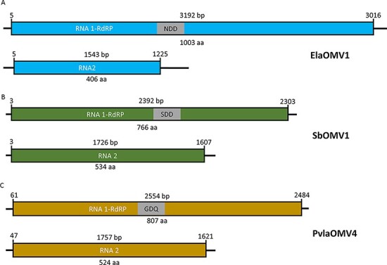 Figure 2.