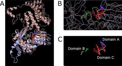 Figure 4.