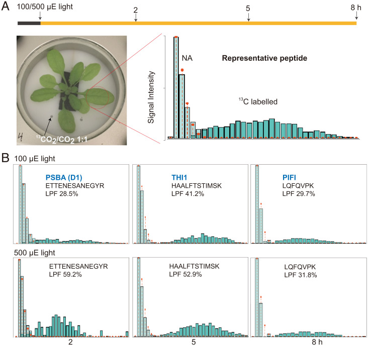 Fig. 3.