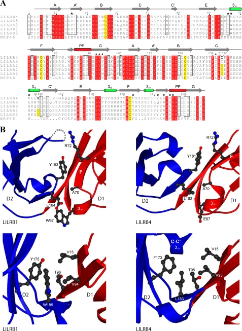 FIGURE 4.