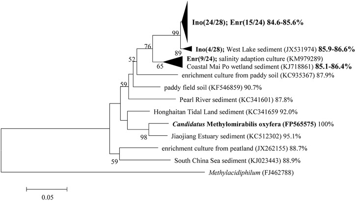 FIG 3