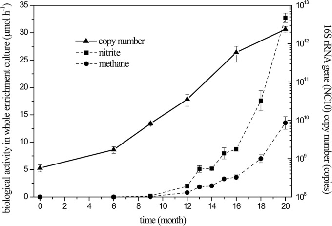 FIG 1