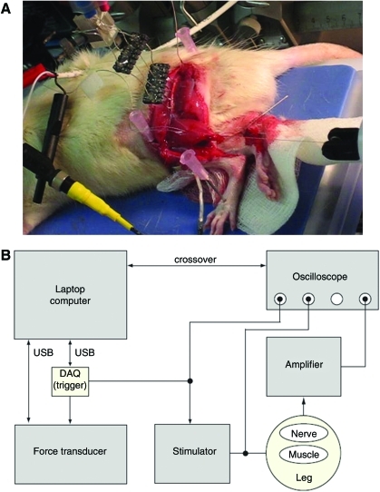 FIG. 3.