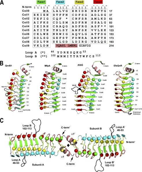 FIGURE 1.