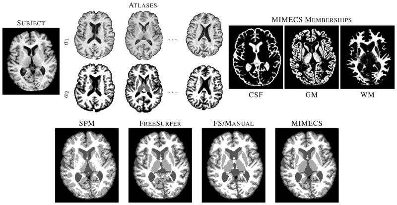 Fig. 10