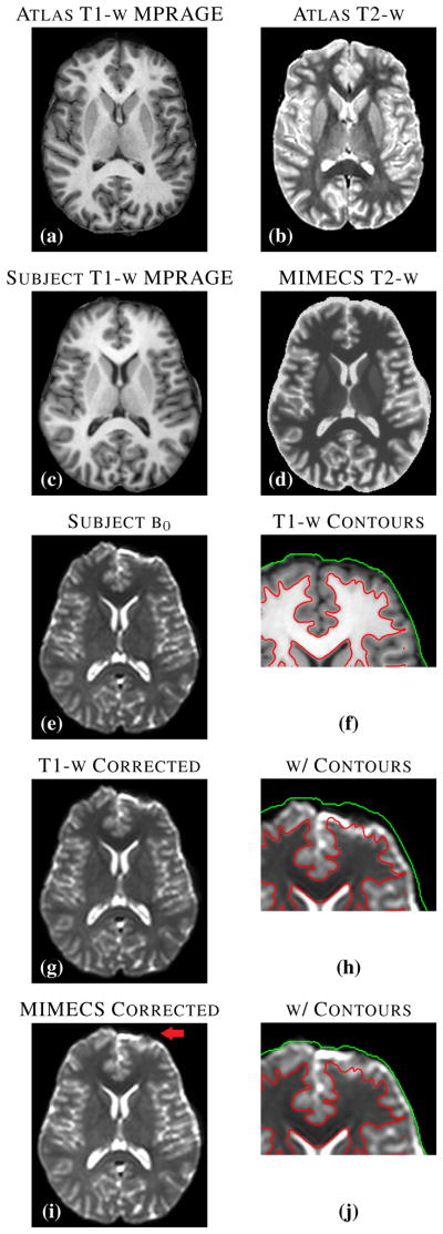 Fig. 8