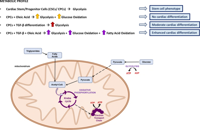 Unlabelled Image