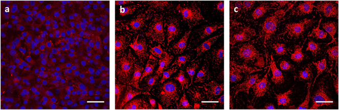 Fig. S5