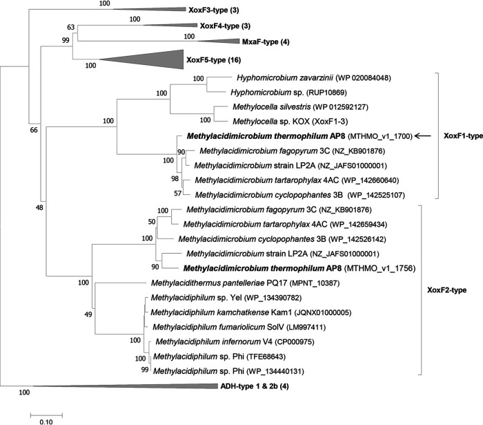 FIG 1