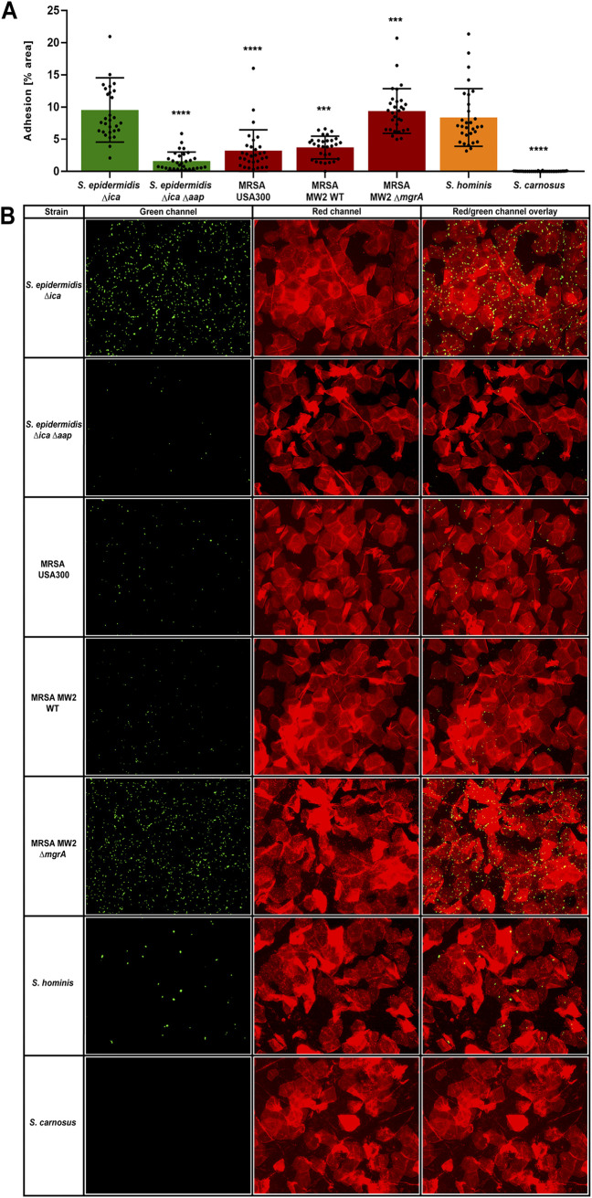 FIG 3