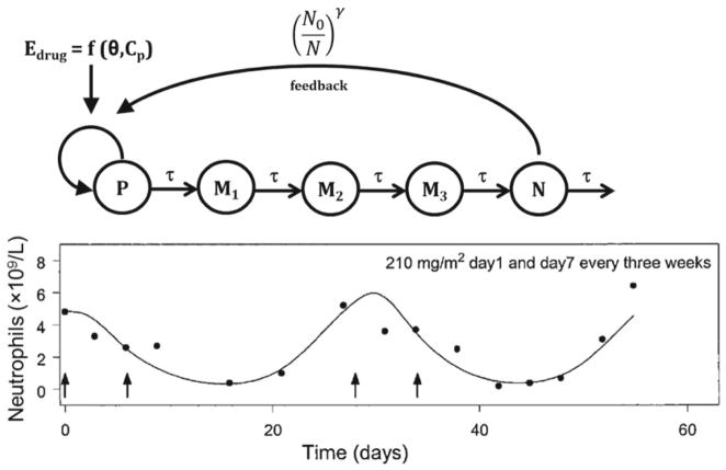 Fig. 7