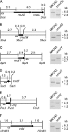 FIG 3