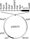 FIG 1