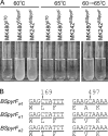 FIG 6