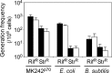 FIG 2