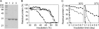 FIG 7