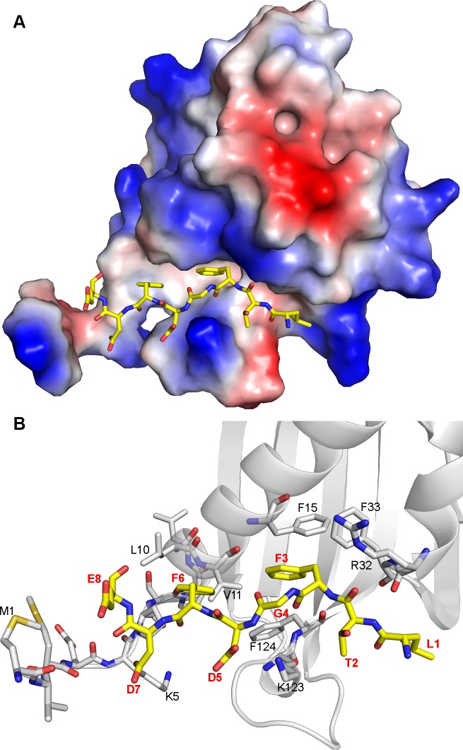 Fig 5