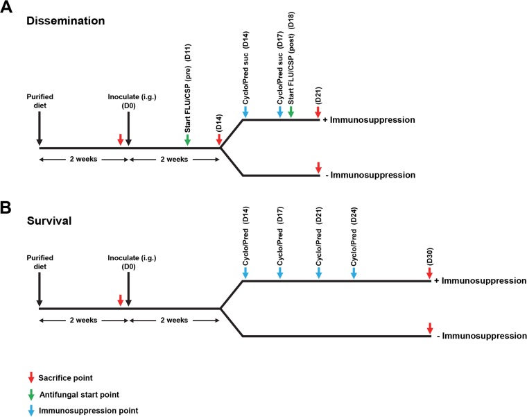 FIG 1