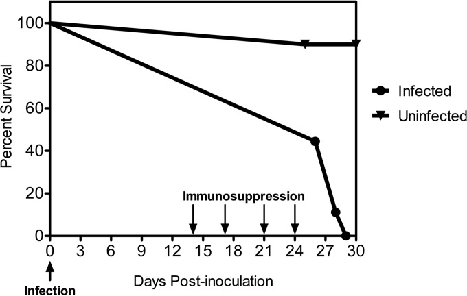 FIG 3