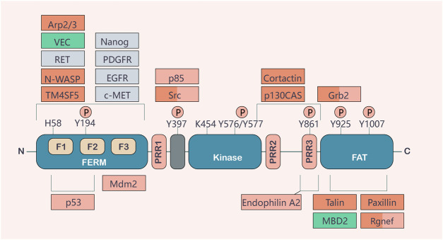 FIGURE 1