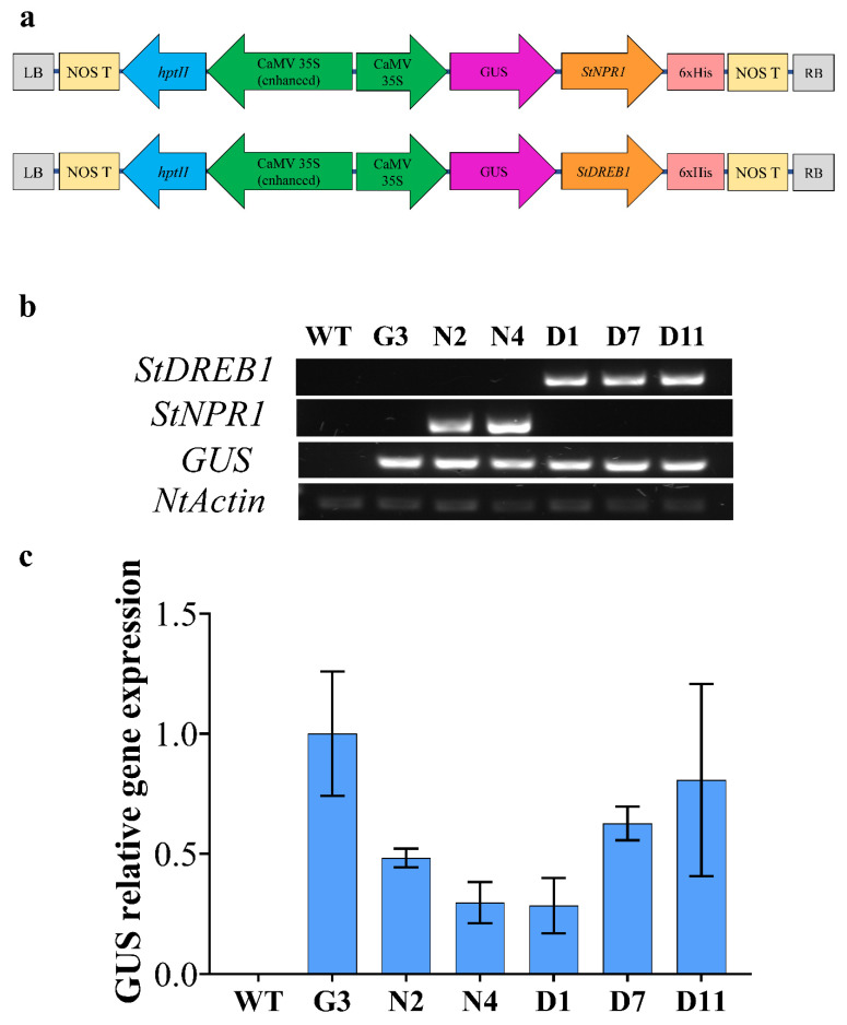 Figure 4