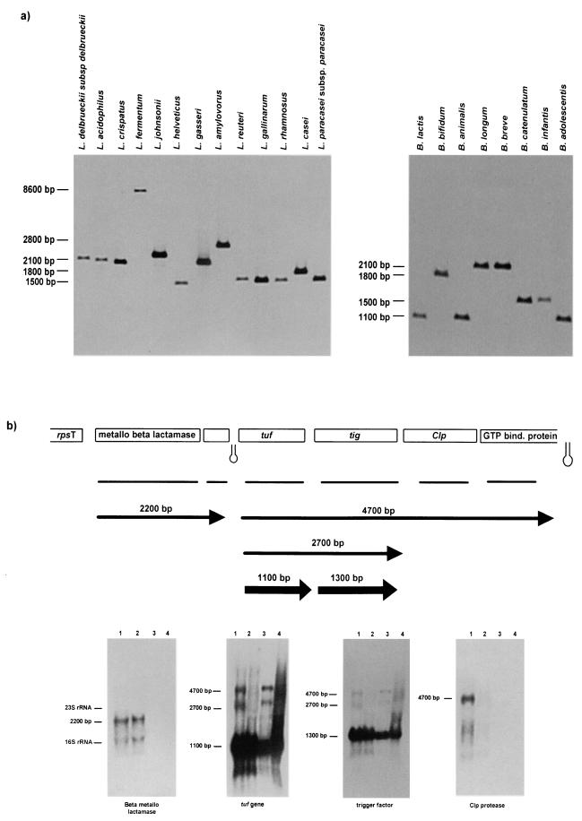 FIG.4.