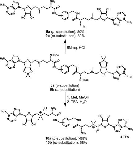 Scheme 2