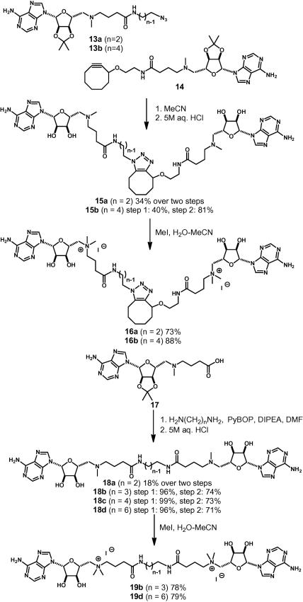 Scheme 3