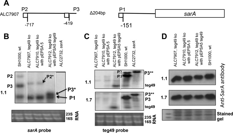 FIG 3