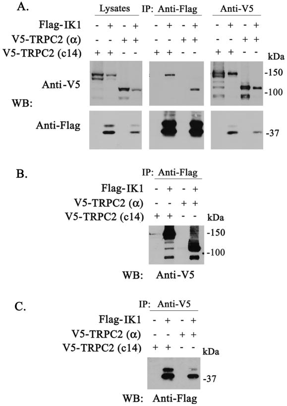 Fig. 5